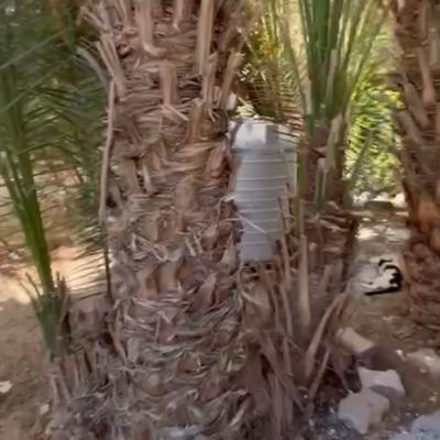 Gemütliche, renovierte 1-Zimmer-Wohnung im Erdgeschoss eines Wohngebäudes im Gebiet Mubarak 2