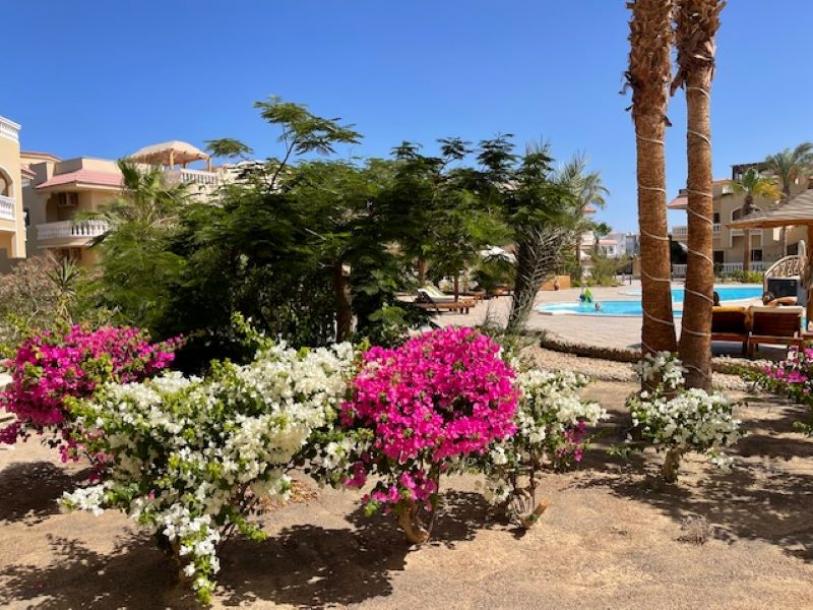 Geräumige Wohnung mit 2 Schlafzimmern im Bezirk Mubarak 7 im perfekten Zustand-13